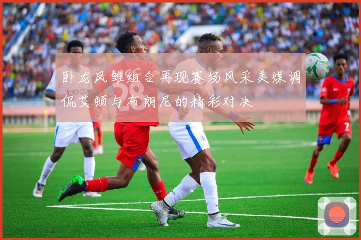 卧龙凤雏组合再现赛场风采美媒调侃艾顿与布朗尼的精彩对决