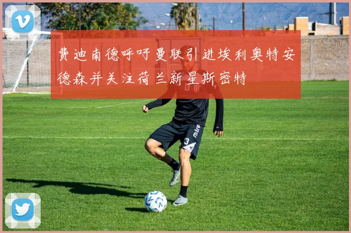 费迪南德呼吁曼联引进埃利奥特安德森并关注荷兰新星斯密特