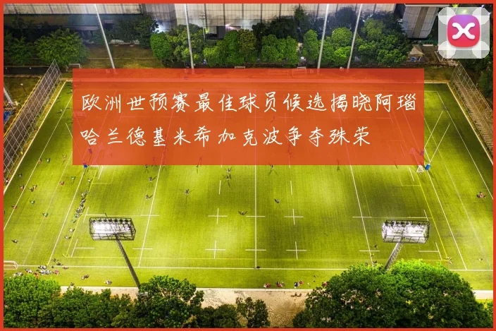 欧洲世预赛最佳球员候选揭晓阿瑙哈兰德基米希加克波争夺殊荣